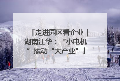 走进园区看企业｜湖南江华：“小电机”撬动“大产业”